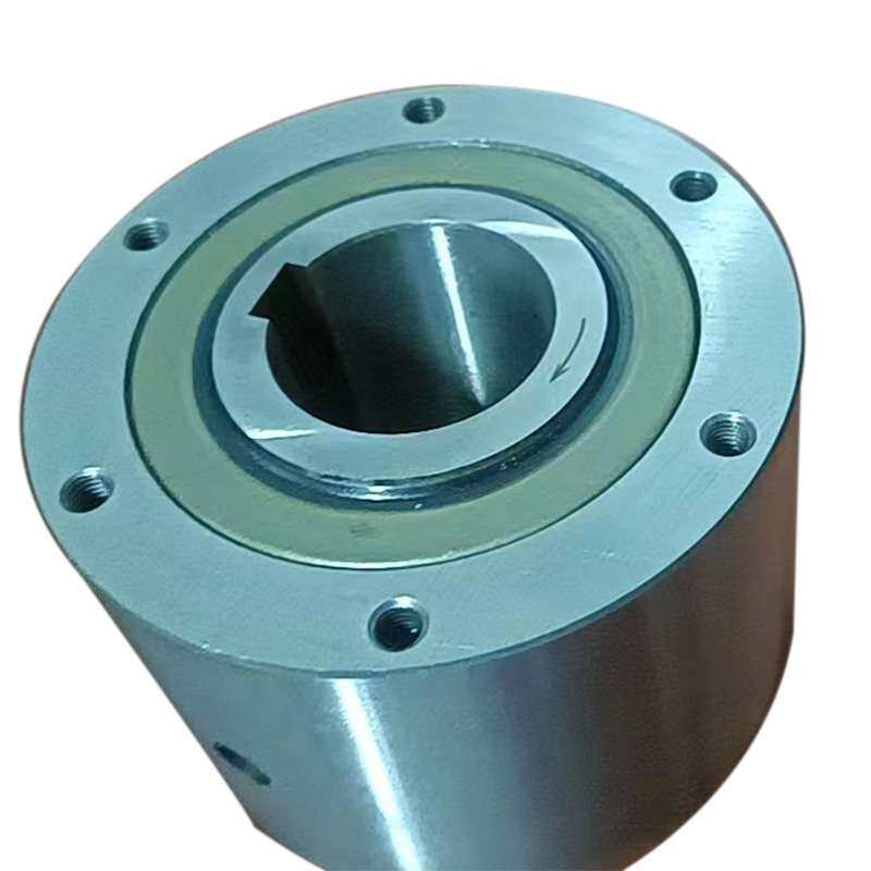 单向超越离合器HPI600空气预热器减速机配套用防冲击逆止器FSO600