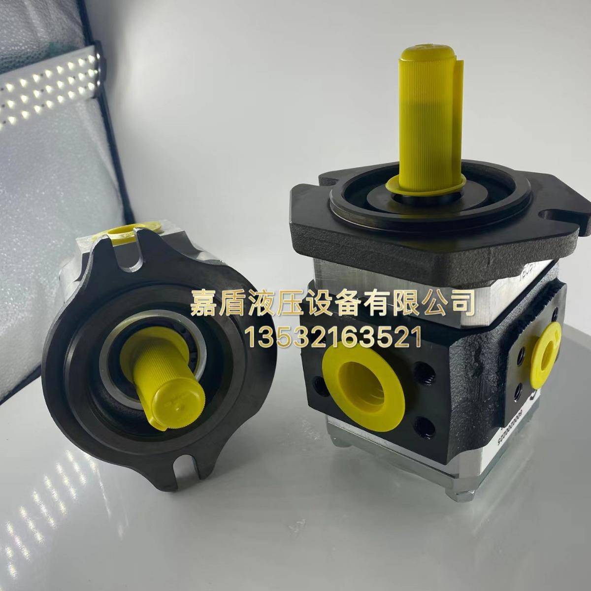 德国艾可勒/艾可乐齿轮泵ECKERLE/EIPC6-125RA23-10注塑机油泵