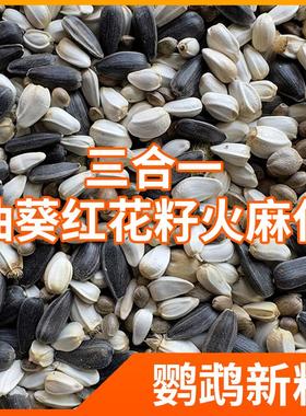 混合油葵红花籽火麻仁麻子中大型鹦鹉鸟粮金太玄凤鸽粮鸟食黑珍珠