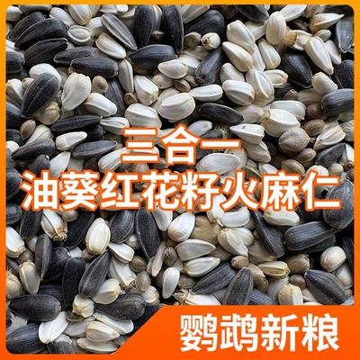 红花籽麻子混合油葵火麻仁