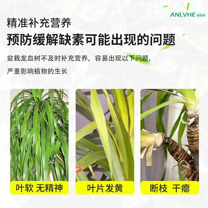 龙血树专用肥料室内千年木春羽凤尾竹龙须树盆栽通用活力素营养液