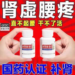 男人补肾的药肾虚肾亏阴阳两虚补肾强身片经常疲劳无力汗多腰酸疼