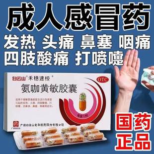 白云山氨咖黄敏胶囊感冒药禾穗速校速效伤风感冒胶囊鼻塞鼻涕头疼