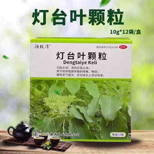 海致清灯台叶颗粒10g*12袋/盒咯痰慢性支气管炎百日咳官方正品OTC