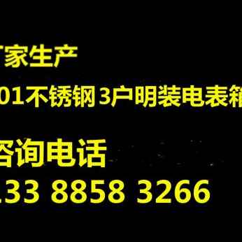 厂销新款3户不锈钢电表箱4046带空开位3表15回路户外防水锈电表品