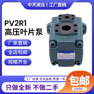 RAA 中天液压PV2R1 68101214172531 叶片泵液压帮浦油泵压力