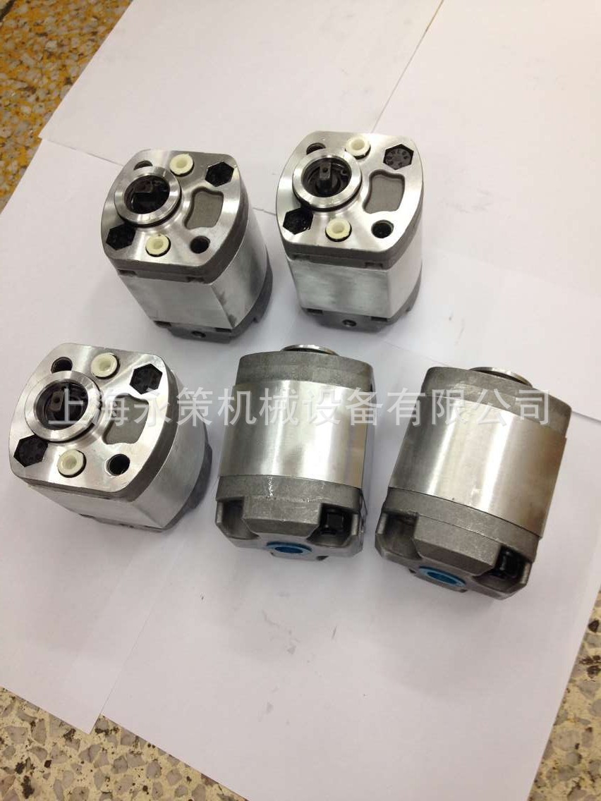 CBKS-G2/G3/G5.8/G6.8双向油泵