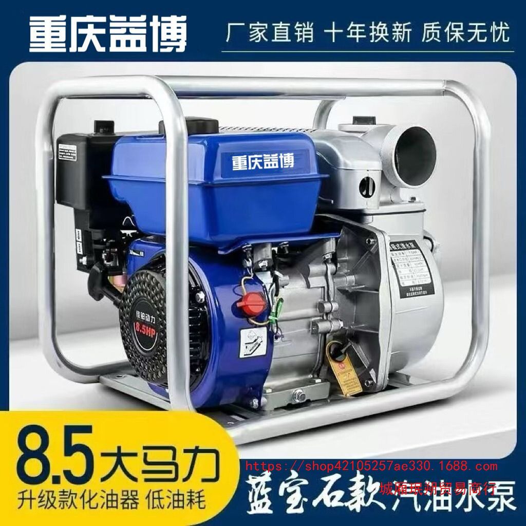德国进口汽油抽水泵电启动高扬程