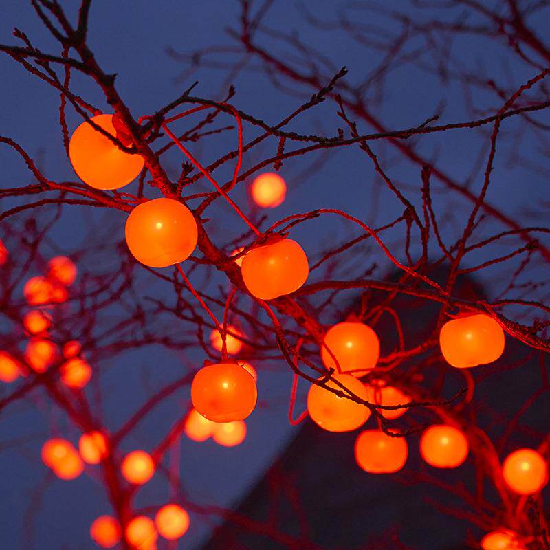ld年喜彩灯过太阳能VBT柿子灯串防e水户外庭院装饰灯挂树上庆氛围