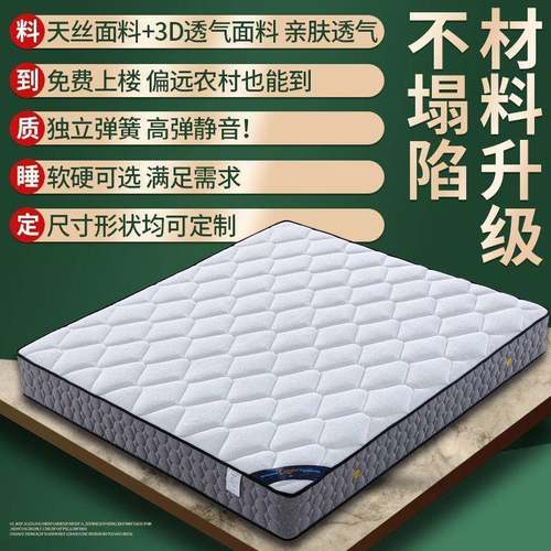 席梦思床垫软硬两用20cm厚UED.8米济1.5m家用1双人经型椰弹簧棕床