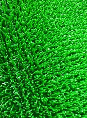 厂家热销FKE加密淘金粘水金绿色增金毯收金上淘金金粘草