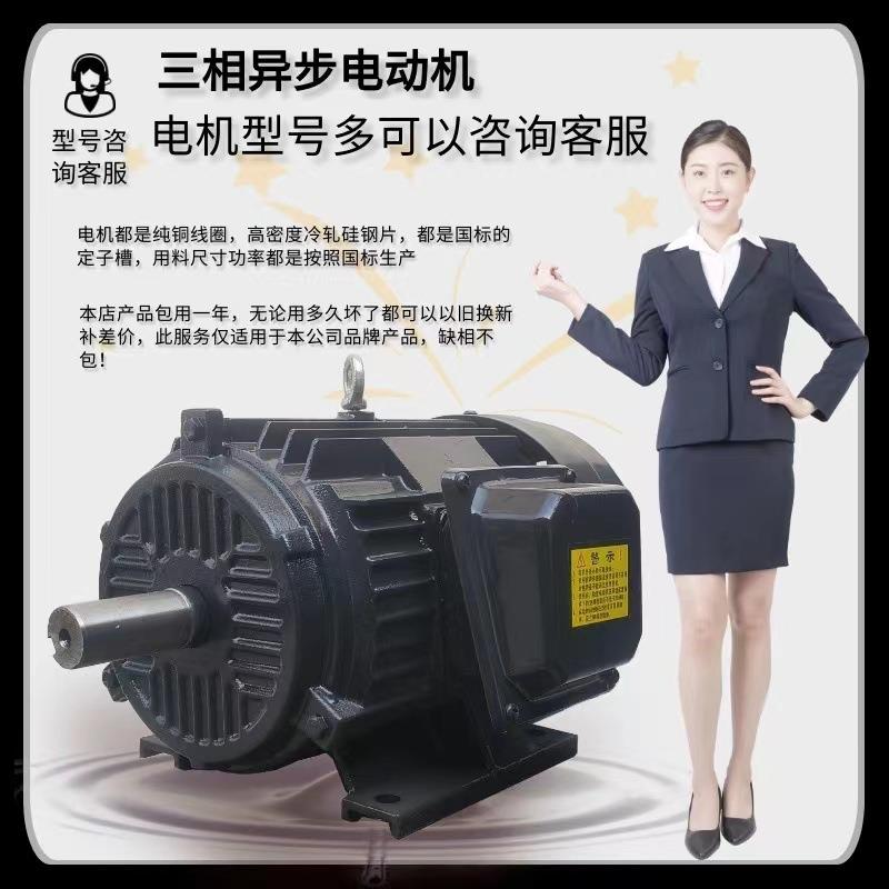 4极YE0J电DFU磁用制动电动机0.55千瓦-90k马达电机38V机械设备电