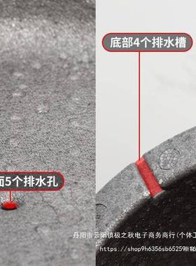 EPP防滑洗椅子浴室沙澡椅老人孕浴妇小发坐室AL545100淋浴沐浴座