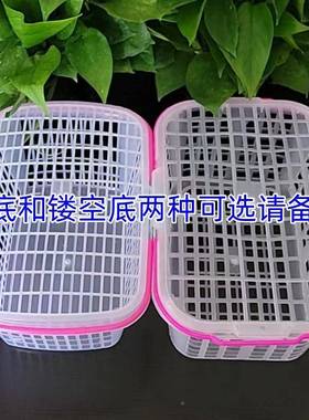 直销2-1斤2白色新料杨梅篮莓篮AOD葡萄采摘篮手塑提料水果筐