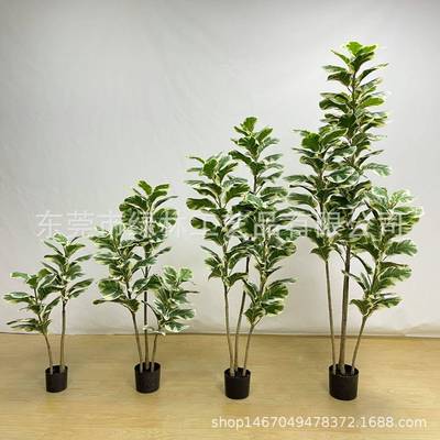白边琴叶榕仿真盆栽人造橡树布LL-08榕叶葫芦树盆景仿皮树绿植琴