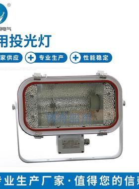 博舟船用投光灯TG69A-N250投光灯渔船码头照明投光灯现货供应