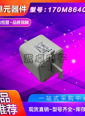 170M8639170M8640170M8641170M8642伊顿巴斯曼熔断器保险丝
