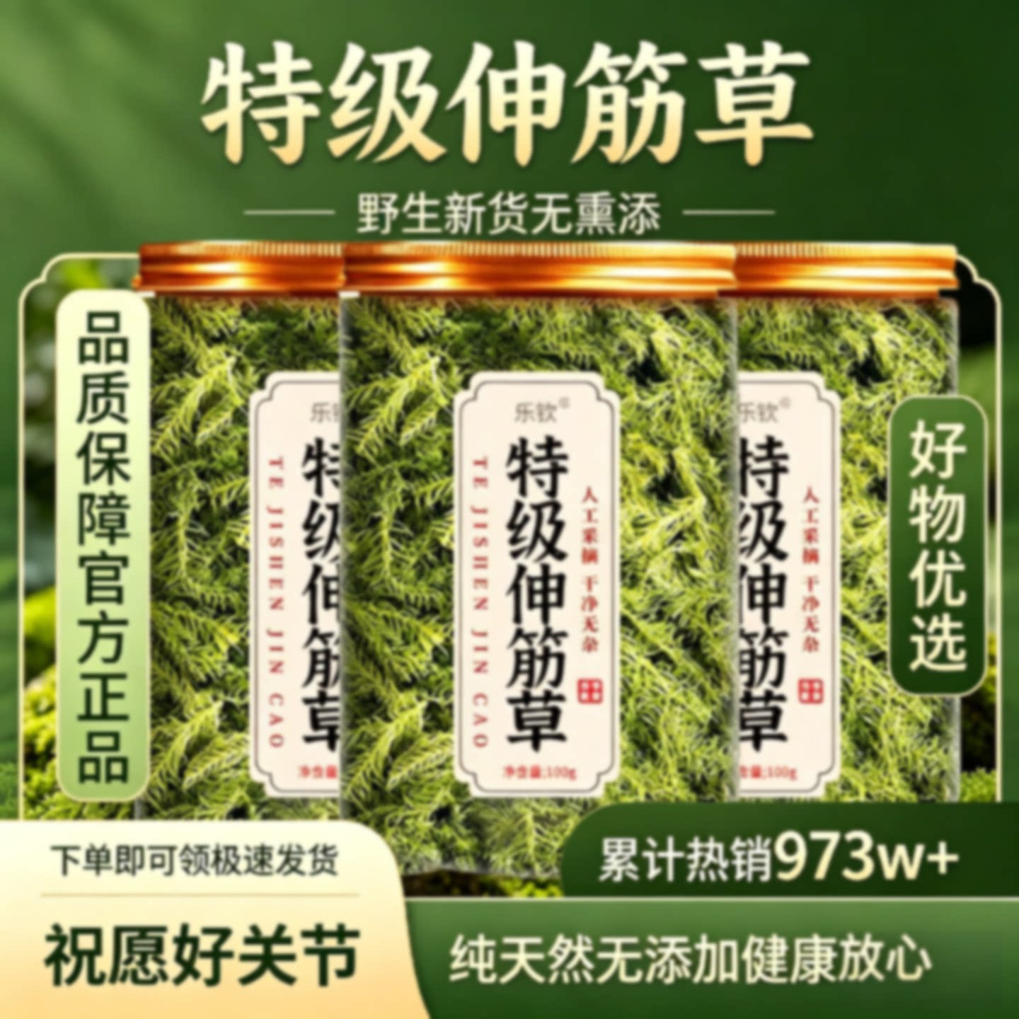 特级伸筋草中药材正品旗舰店野生小伸筋草中药透骨草正品旗舰店