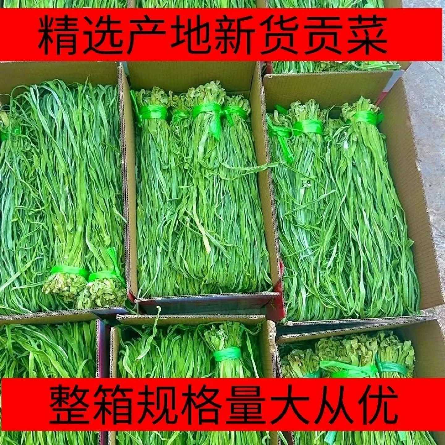 贡菜干4-10斤整箱商用正宗苔干脱水蔬菜火锅凉拌鸭货食材干货批发