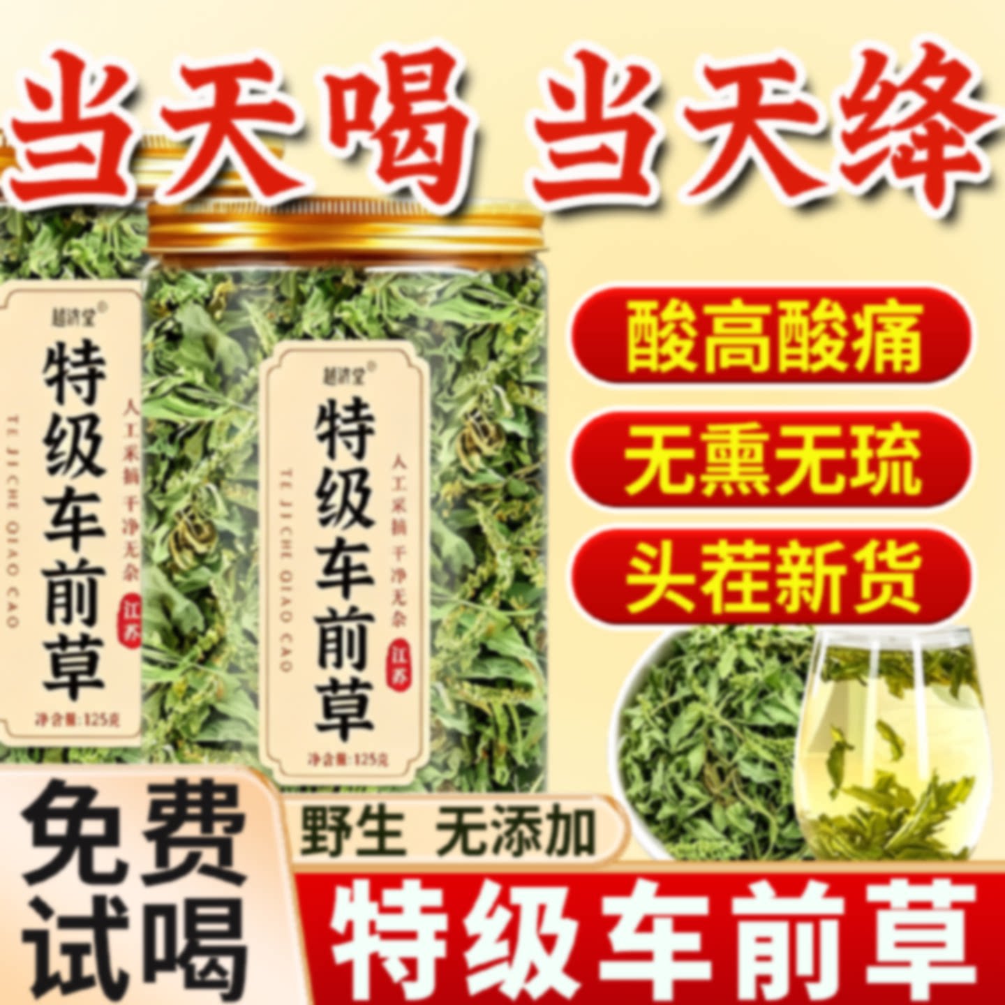 车前草野生新鲜干货官方旗舰店中药材泡水喝的功效与作用无痛旗舰