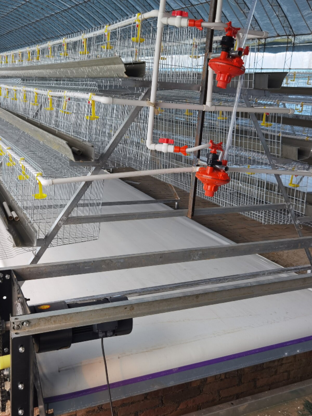 定制厂家供应蛋鸡笼养鸡场层叠阶梯式家用养殖大笼子自动清粪鸡舍