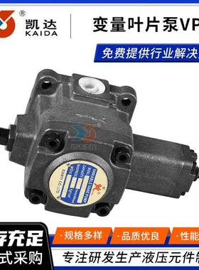 厂家直供液压泵变量叶片泵VP40低压高压可变容量轮叶帮浦