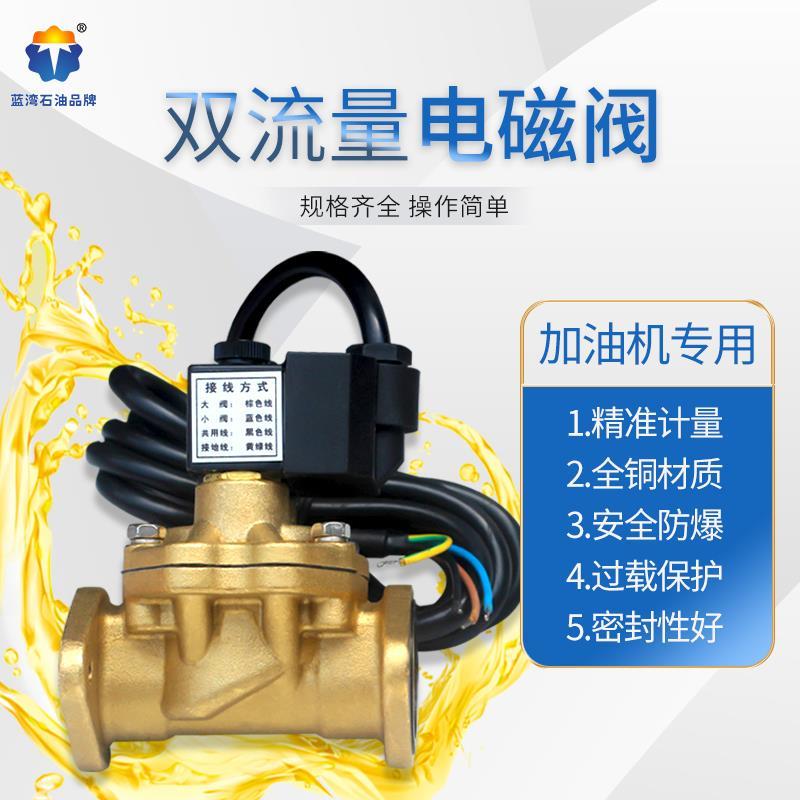 亿恒牌电磁阀双流量浇封型加油机mSF-20/25正星三盈防爆精准计量