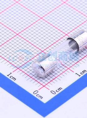 一次性保险丝 0218.032MXP D5xL20mm 原装正品