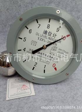 YZF2-140YZF2-175YZF2-200YZF2-250TH变压器油枕油位计油位表