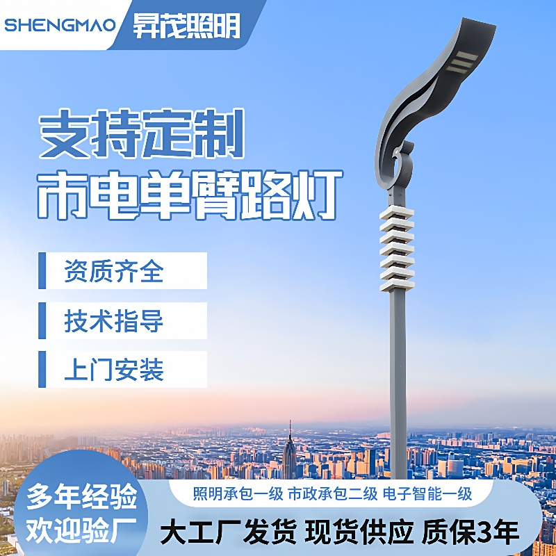 LED市电路灯定制6米8米10米新农村道路建设单臂照明路灯杆
