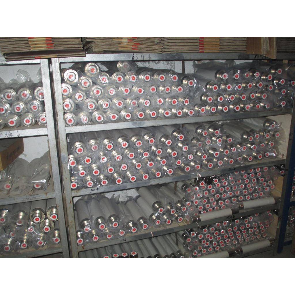 供应XRNT1-10(12)/300A88*292高压限流熔断器（变压器保护）