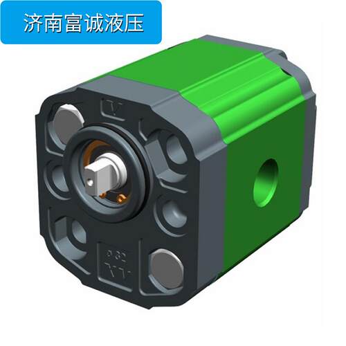 VIVOLO双向齿油泵XV-1R/1.7X1R1801FIIF意大利原装内泄齿轮泵
