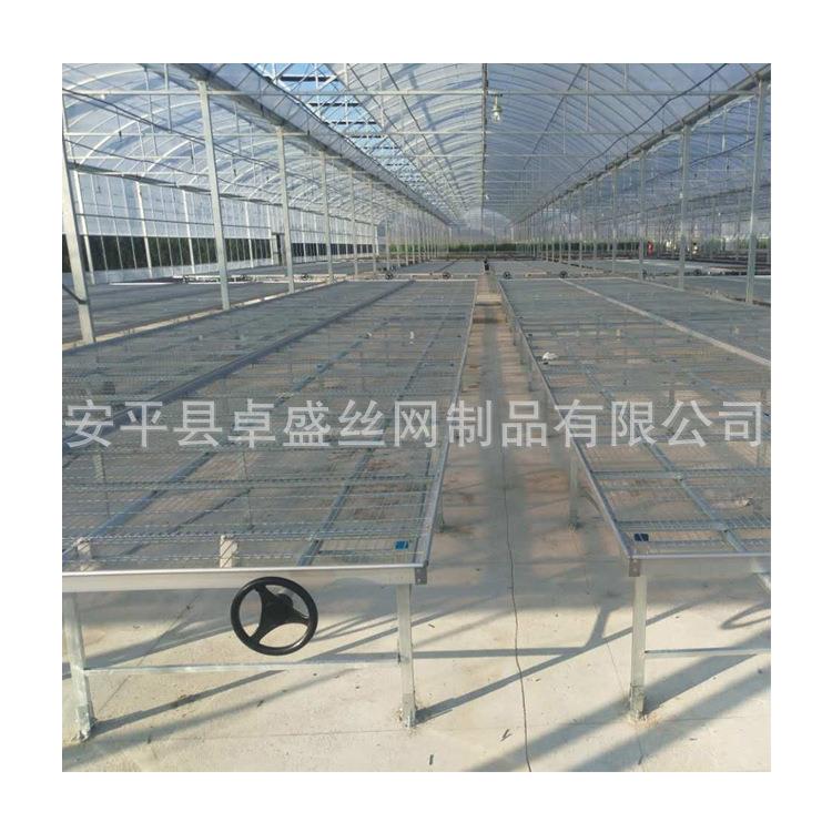 固定移动苗床热镀锌网片苗床温室蔬菜大棚苗床花卉育苗栽培苗