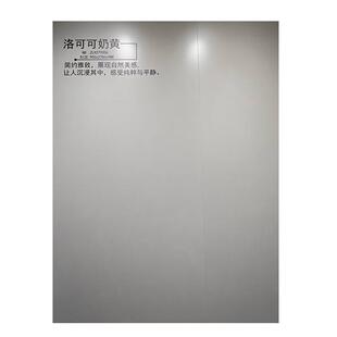 800X2600X9肌肤釉柔光岩板电视沙发背景墙全屋墙面地面素色护墙板
