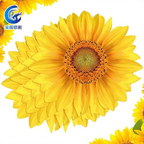 一次性餐垫纸家用西餐垫餐纸向日葵玫瑰花桌垫餐桌纸垫