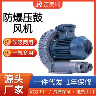 焚化炉排废气旋涡高压风机 纺织冶金防爆中压风机2.2KW工业鼓风机