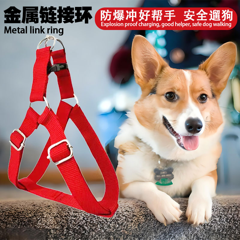 金属扣狗链柯基中小型犬拉布拉多格力犬狗项圈背带狗狗绳牵引绳
