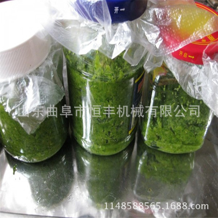 湖南商用新鲜水果 打浆机芒果樱桃 去核打浆机厂家直销