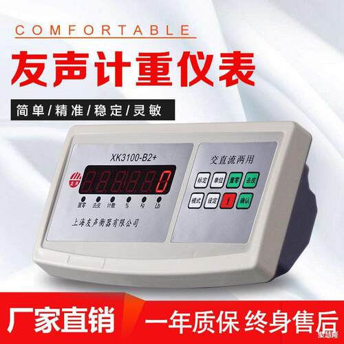 上海友声XK3100计数仪表/计重B2+电子秤表头/称重显示器配件磅头
