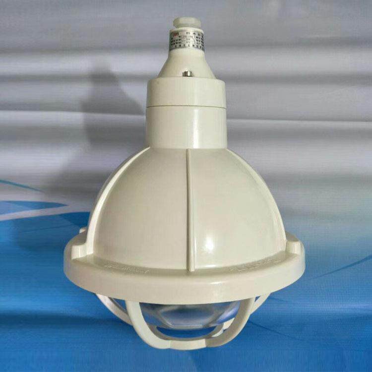 50W防水防尘壁灯FAD-E50/BGL-200S增安型防爆防腐灯吸顶吊杆