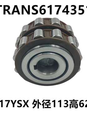 二类圆柱滚子 偏心轴承617YSX TRANS6174351