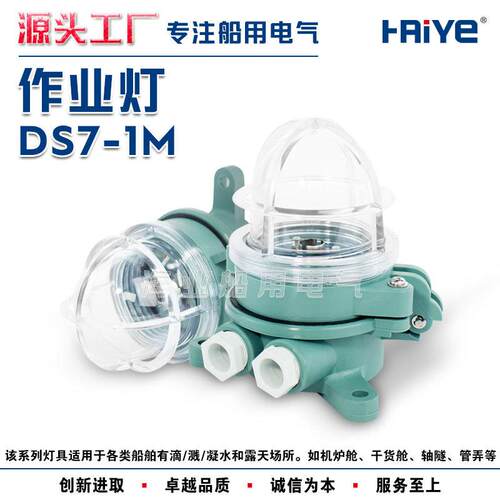 船用工程塑料白炽作业灯DS7-1M吸灯式露天场所甲板照明灯24V15W