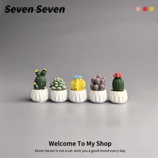 微景观解压治愈摆件装 盆栽仙人掌多肉 饰高颜值 小玩意 奇奇怪怪