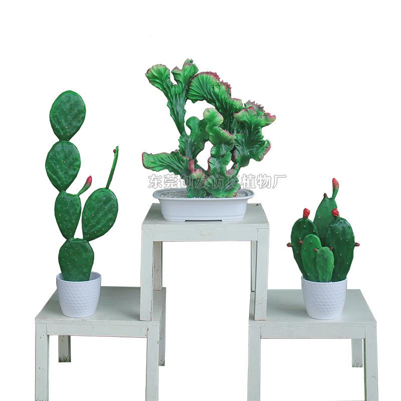 厂家CF0129供应仿肉类植物仙人掌盆栽室摆植件盆景真绿玉麒内麟火