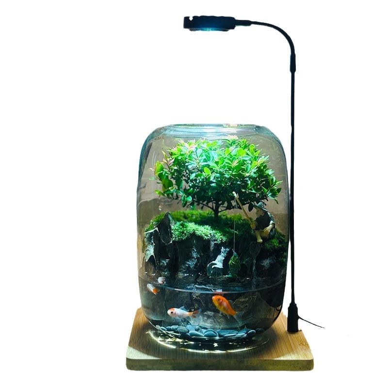 苔藓微景生态瓶观缸成品盆L0068栽盆景成造赤楠绿植好养景活品桌
