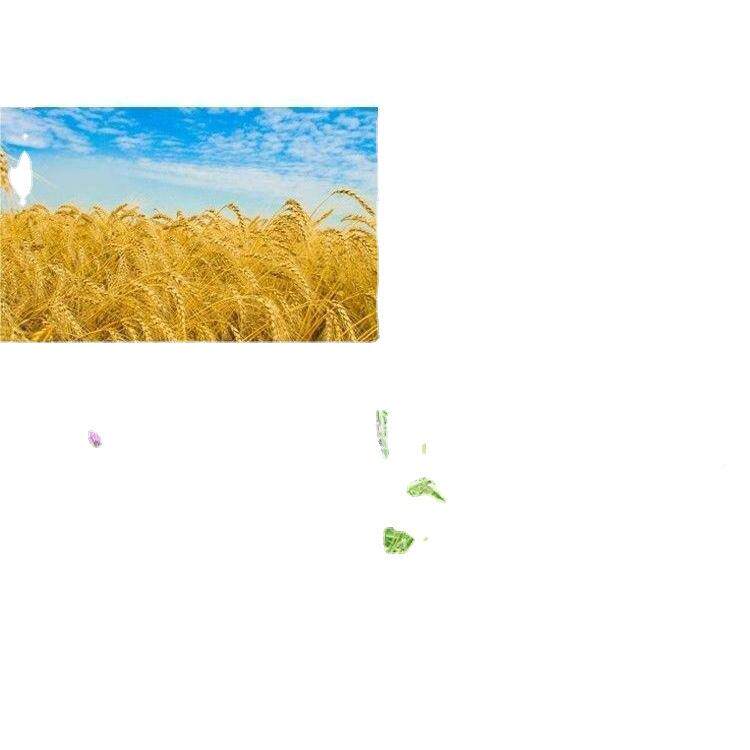 区小麦收割机水稻家山用农用型小割LDY谷机割麦充电式玉米除草机