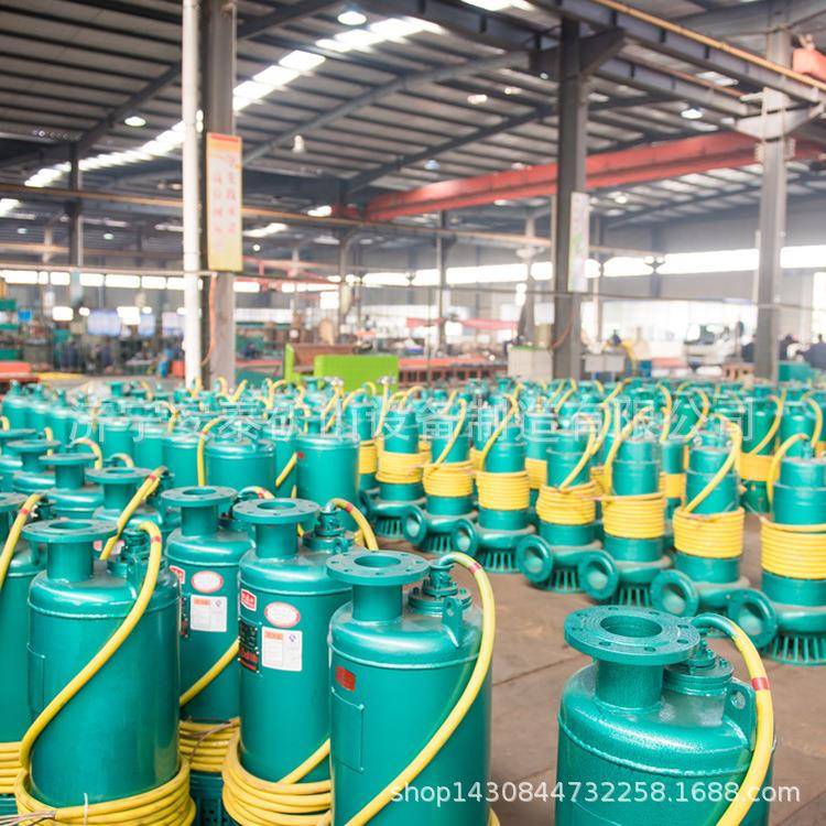 济宁安泰WQ防爆潜污泵耐用整机寿命长WQB15-16-1.5