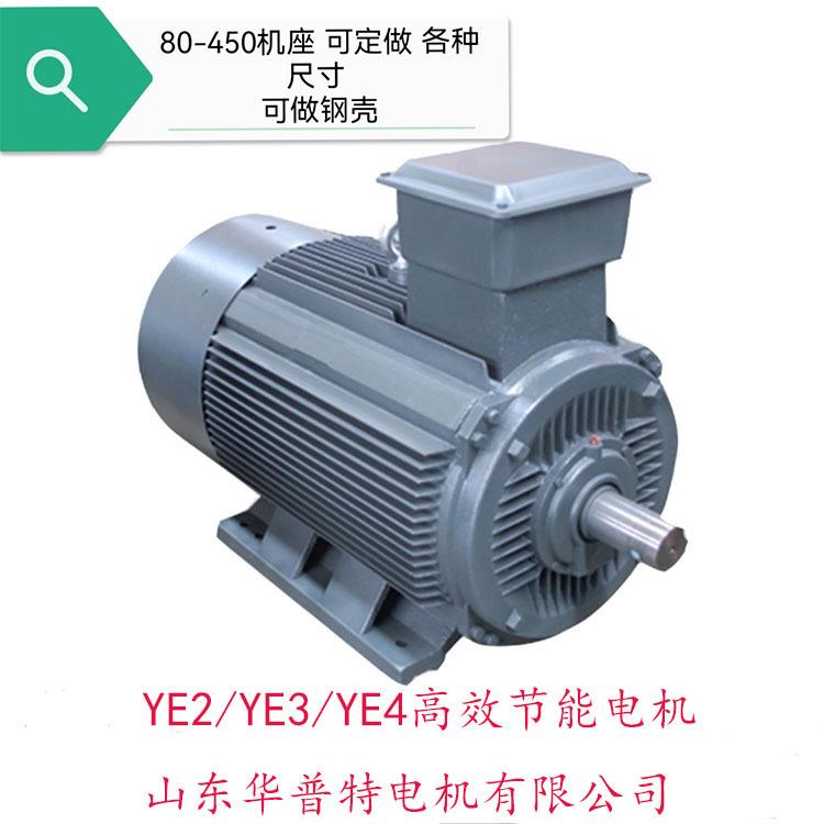 YE2YE3YE4高效节能电机75w132w出口朝鲜欧美200w185w