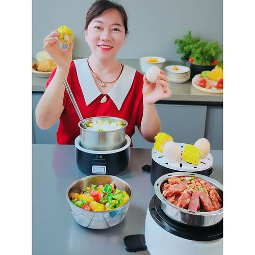 巧赢电热饭盒可插电加热蒸煮保温桶饭盒上班族带饭便携蒸煮加热器