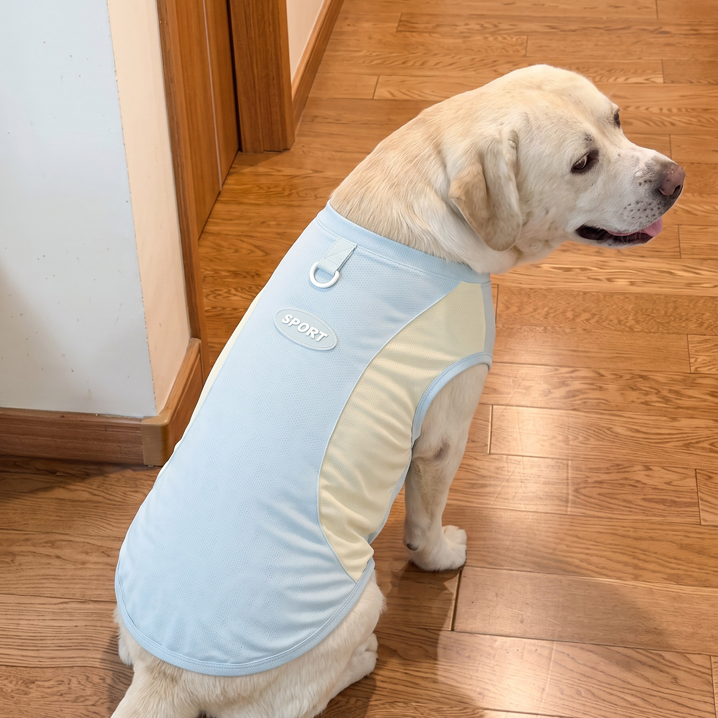 大狗衣服凉凉衣金毛秋田拉布拉多中大型犬狗狗防掉毛四脚衣服装潮
